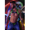 Breedwell Strap lumineux pour Harnais DADDY Breedwell